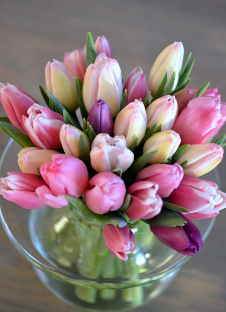 Tulipaner – snittblomstene som strekker seg litt lengre