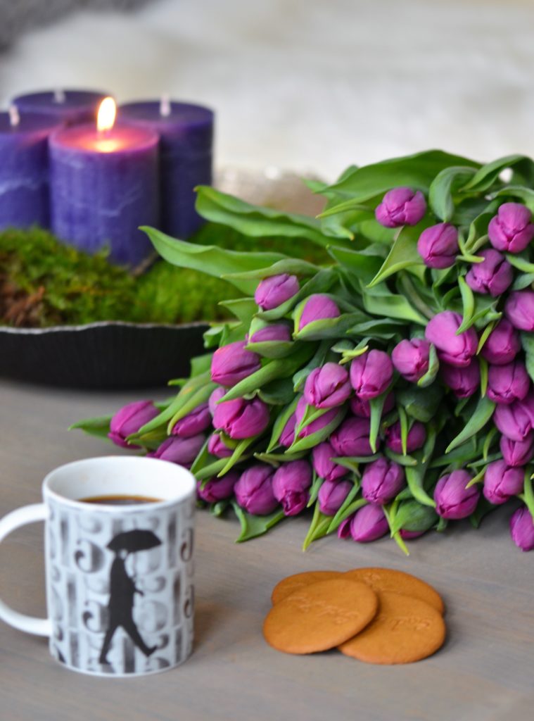 Adventstemning med tulipaner
