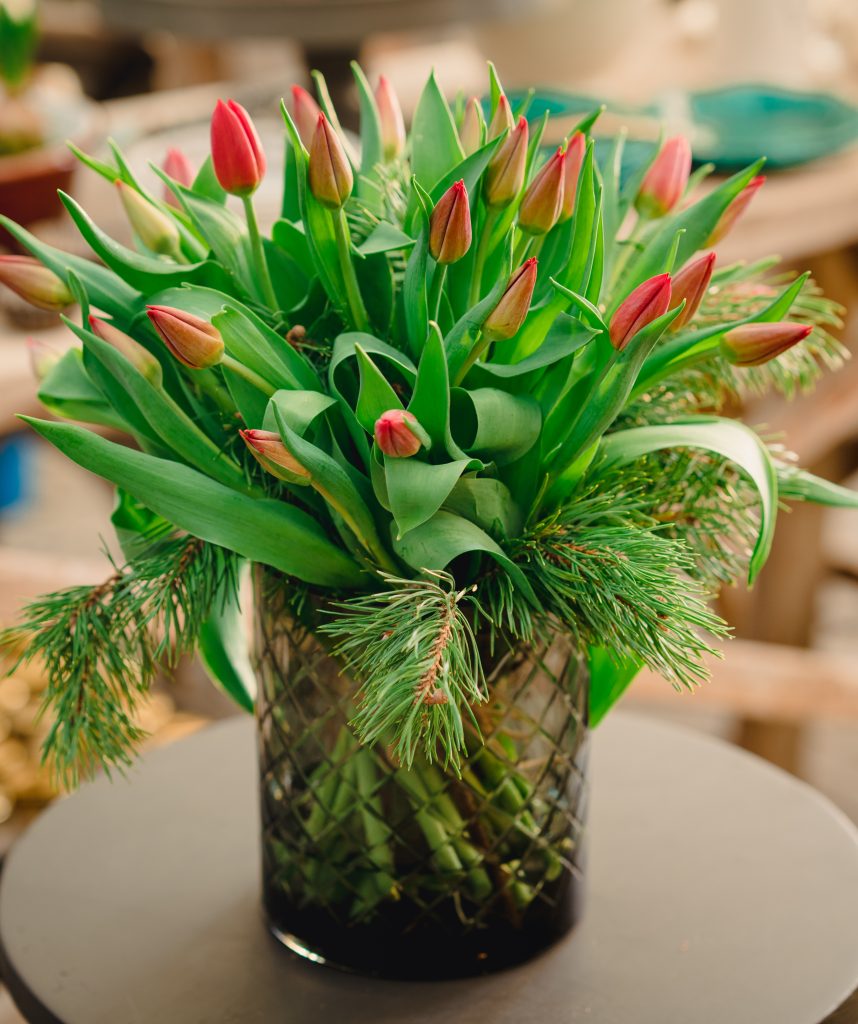 Slik får du julefine tulipaner som varer
